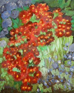 Fiori della Cornovaglia