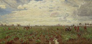 Lavoratori agricoli, Olanda