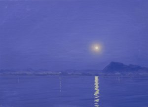Chiaro di luna su Udaipur
