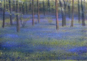 Bosco di campanule