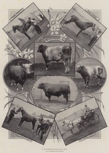 Alla Mostra Agricola di Leicester