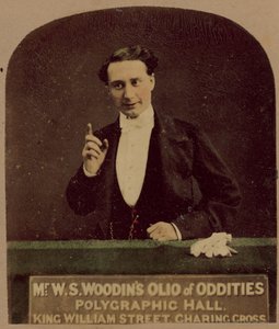 Mr W S Woodins Olio di stranezze
