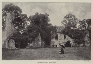 Castello di Sherborne, Dorsetshire