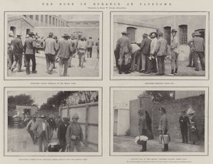 Il boero in prigionia a Città del Capo