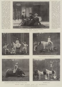 Cosa ha visto la Regina a Balmoral