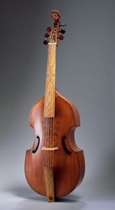 Viola da gamba (legno)