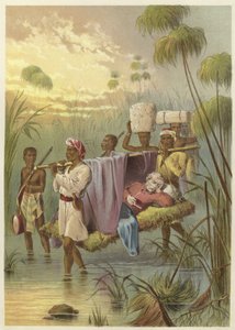 David Livingstone, L