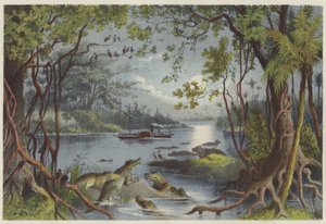 La Ma-Robert sul fiume Zambesi