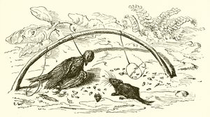 Il cacciatore e l