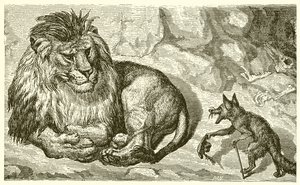 La volpe e il leone