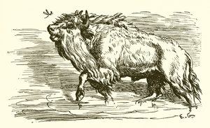 La zanzara e il toro