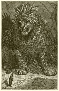 Il Leone e il Topo