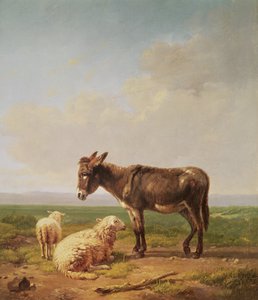 Asino e pecora, 1849