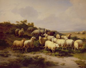 Pecore sulla costa, 1878