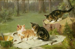 Gattini che giocano