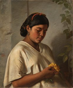 Donna indiana con calendula