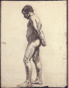 Nudo maschile in piedi