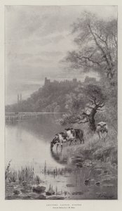 Castello di Arundel, Sussex