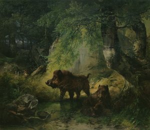 Cinghiale e Lupo