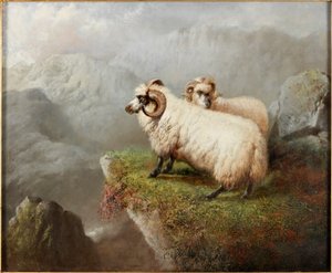 Pecore su un bordo di scogliera, c.1865-68