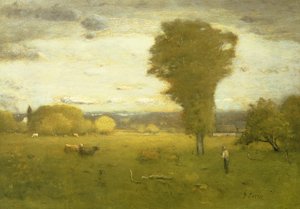 Pascolo illuminato dal sole