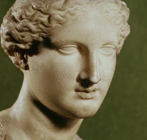 Testa di Artemide