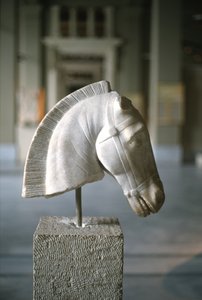 Testa di cavallo