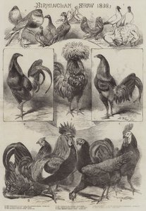 Mostra di Birmingham 1858