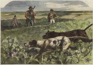 Il primo di settembre