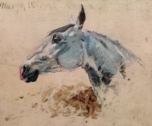 Cavallo bianco 