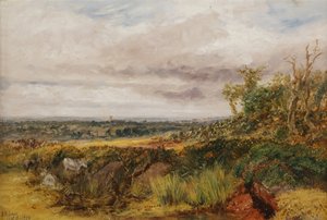 Paesaggio