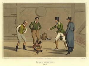 Combattimento di galli (cromolitografia)