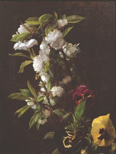 Fiori, 1876