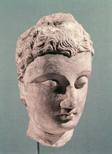 Testa di Buddha, Gandhara, 2°-4° secolo