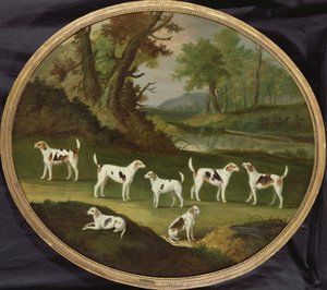 Segugi in un paesaggio boscoso