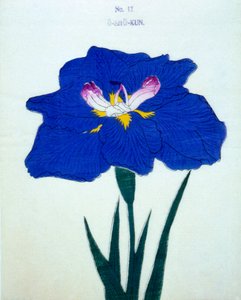 O-Sho-Kun, n.12, 1898