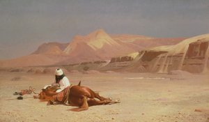 Nel Deserto