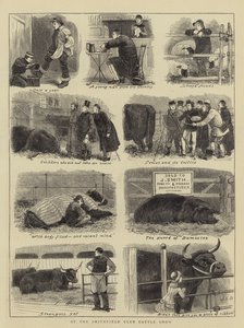 Alla mostra del bestiame del Smithfield Club