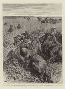 Il cacciatore cacciato