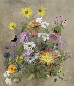 Fiori Estivi