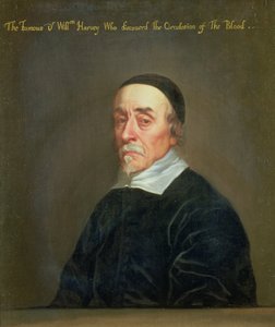 Ritratto di William Harvey