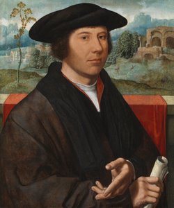 Ritratto di un uomo, 1528-29