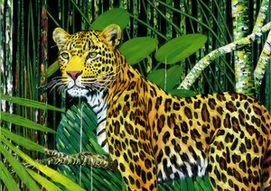 Animali: leopardo 1