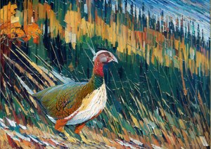 Animali: fagiano 1