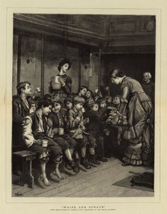 Orfani e randagi