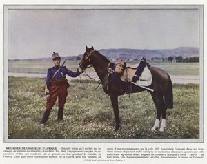 Brigadiere dei Cacciatori d
