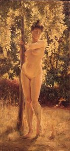 Nudo femminile sotto un albero ombroso