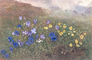 Fiori di montagna primaverili, 1896