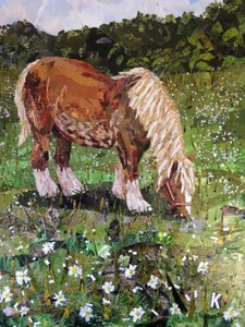Cavallo sulla collina