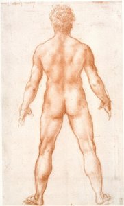 Nudo maschile di schiena